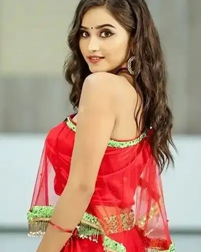 Call Girls Service Narnaund